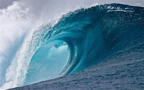 wavesip|WaveUp .